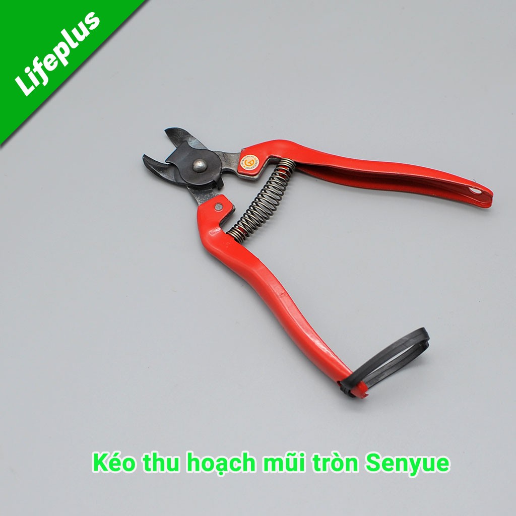 Kéo cắt cành, tỉa lá mũi tròn thép Carbon