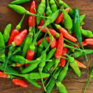 HẠT GIỐNG ỚT XIÊM 0.1gr