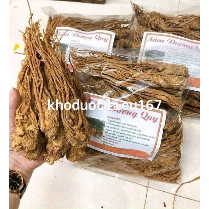 Sâm Đương Quy Khô 100gr hàng vàng đẹp