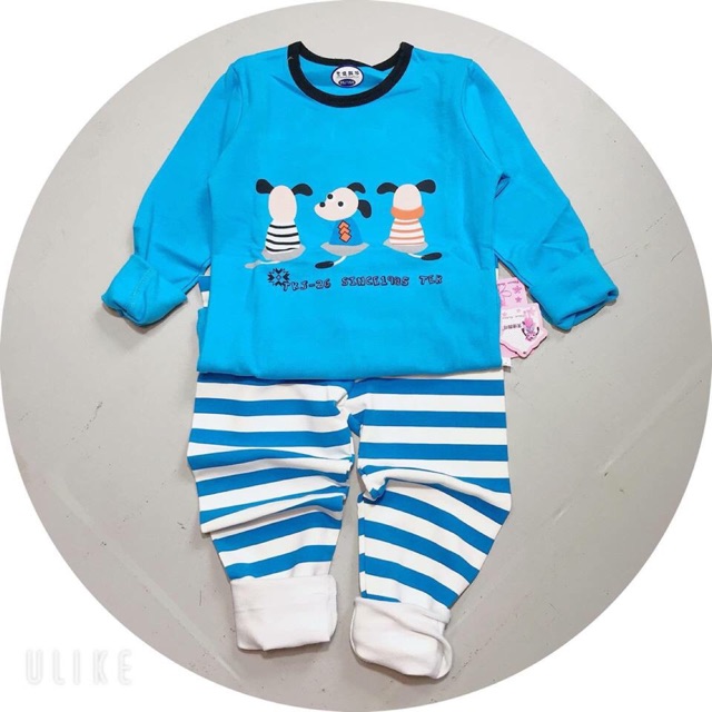 Bộ nỉ cotton sz đại