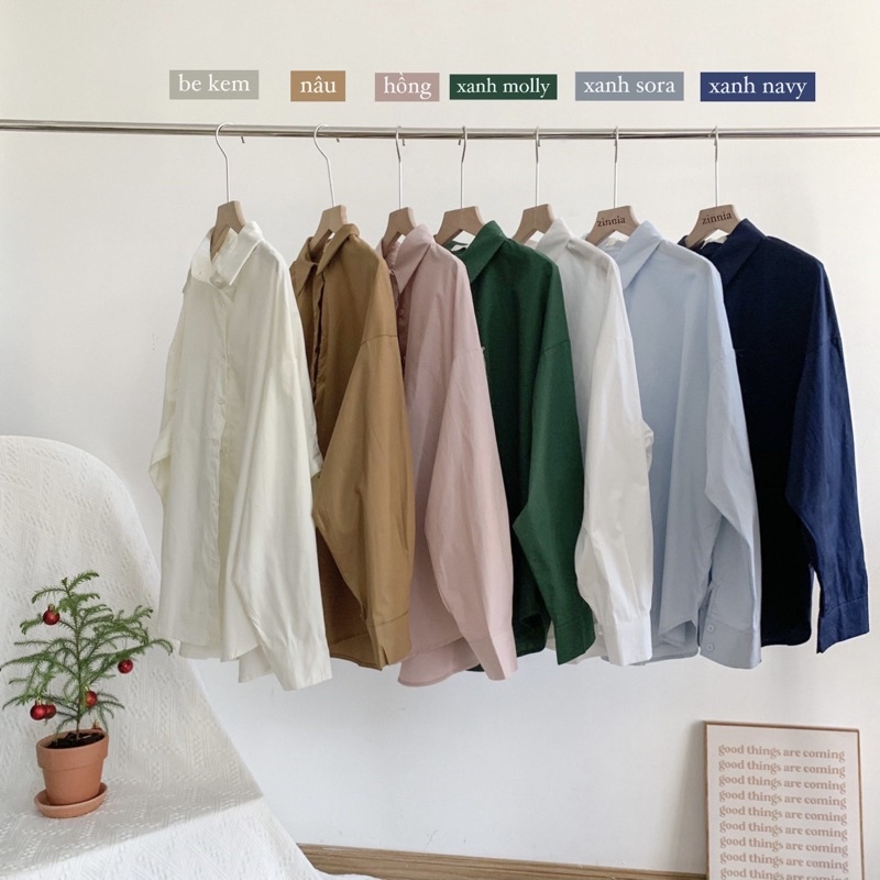 𝐙𝐢𝐧𝐧𝐢𝐚/𝐀́𝐨 𝐬𝐨̛𝐦𝐢 𝟕 𝐦𝐚̀𝐮 𝐤𝐢𝐞̂̉𝐮 𝐝𝐚́𝐧𝐠 𝐛𝐚𝐬𝐢𝐜 𝐜𝐡𝐚̂́𝐭 đ𝐞̣𝐩 519