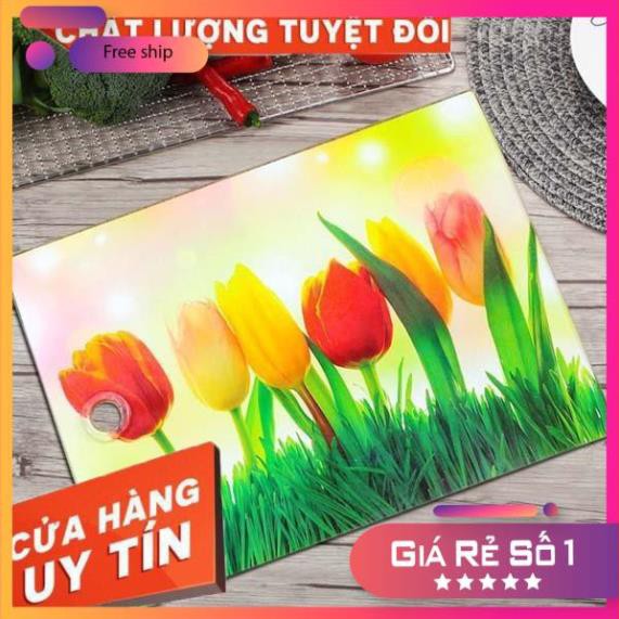 Thớt kính cường lực KT 30x40