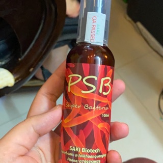 Vi khuẩn quang hợp PSB cung cấp vi sinh sống cho nguồn nước