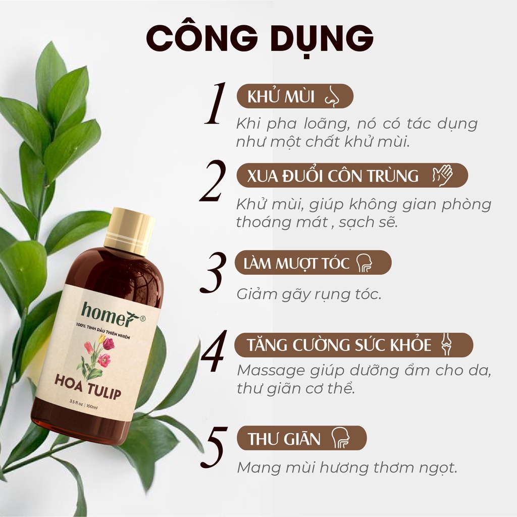 Tinh dầu Hoa Tulip Homer - Tulipa Essential Oil - đạt chuẩn chất lượng kiểm định