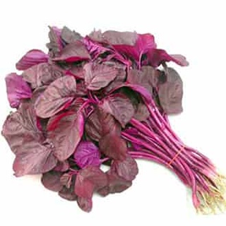 Hạt giống rau Dền Đỏ - Dền tía dễ trồng