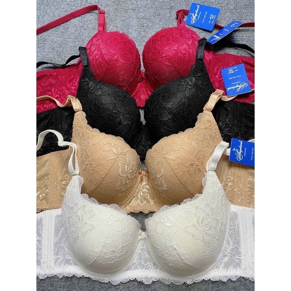 Áo ngực bigsize mút mỏng dạng ren và trơn size 36-44