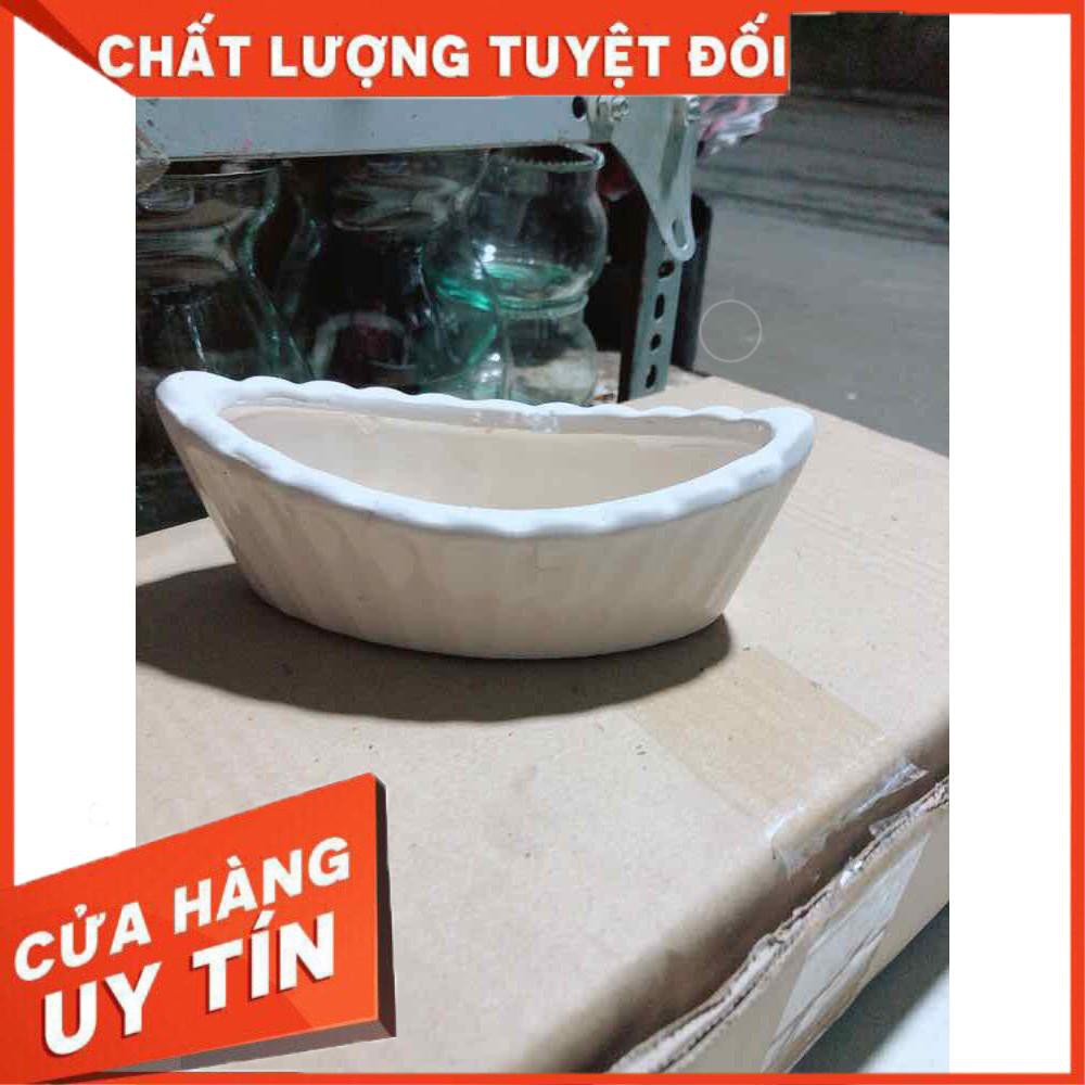 Chậu Trồng Cây Nhiều Người Mua