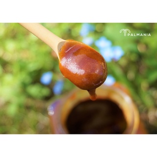 Đường thốt nốt Palmania 600gr