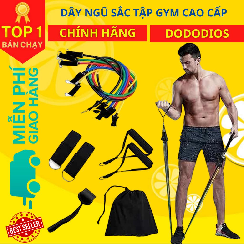 Dây ngũ sắc kháng lực tập gym, thể hình đa năng tại nhà chất liệu cao su siêu bền - Hãng dododios