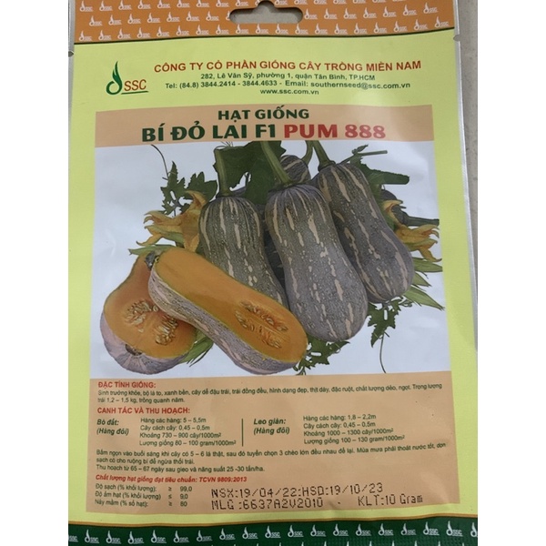HẠT GIỐNG BÍ ĐỎ LAI F1 PUM 888