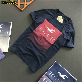 áo thun Hollister