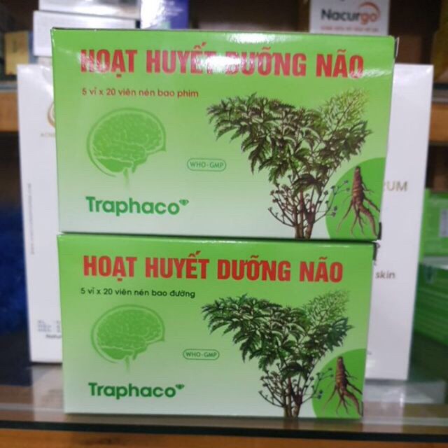 Hoạt Huyết Dưỡng Não - Phòng, Điều trị - Suy giảm trí nhớ, căng thẳng thần kinh, kém tập trung.