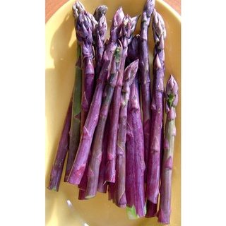 Hạt Giống Măng tây tím (0.2g)