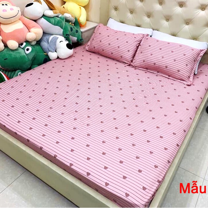 Bộ Ga Gối Cotton Poly Mẫu KẺ TIM HỒNG [ MẪU MỚI CỰC SANG 2020 ] ĐỦ KÍCH THƯỚC CHỌN LỰA