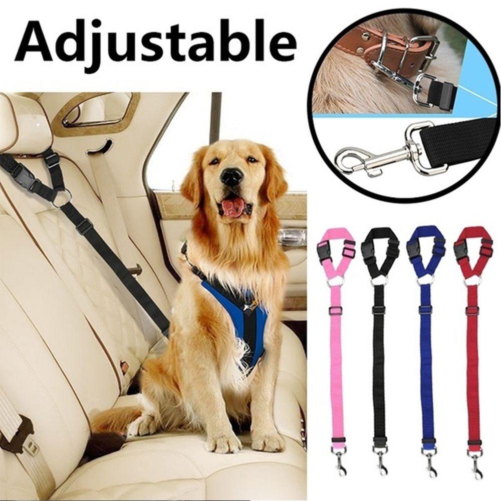 Dây Dắt Thú Cưng Đi Dạo Bằng Chất Liệu Nylon Siêu Bền Tiện Dụng