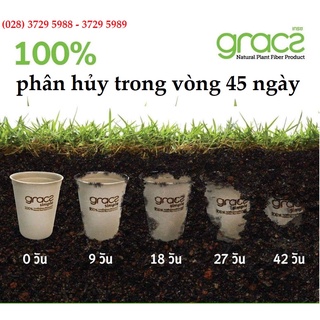 10 Chén bã mía Thái Lan 500ml - thương hiệu Gracz (màu trắng)