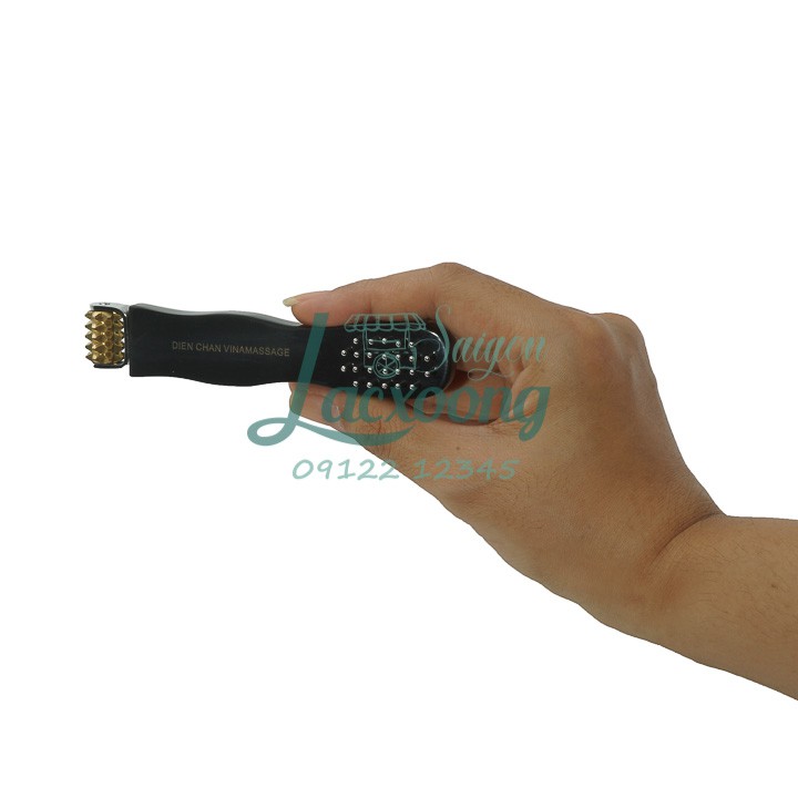 Bàn chải tiên đồng gai nhỏ diện chẩn