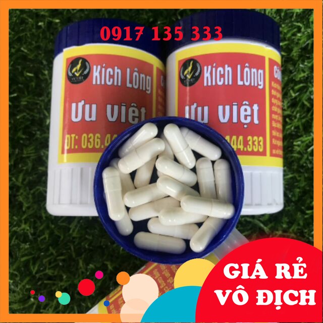 Kích Lông Gà Ưu Việt