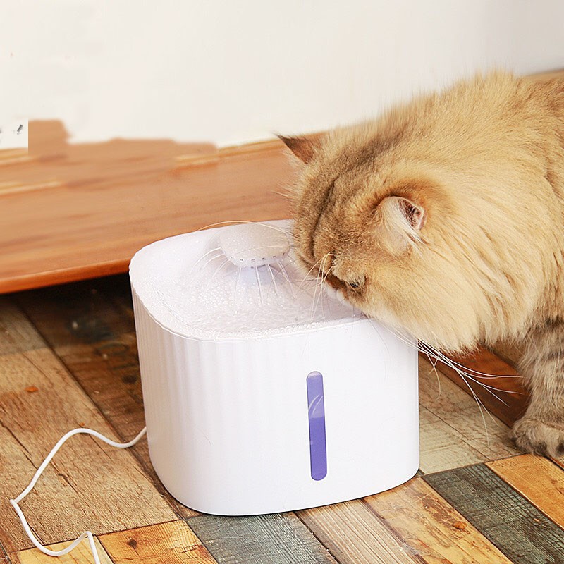 [Mã 159FMCGSALE giảm 8% đơn 500K] máy uống nước tự động cho mèo có đèn LED cho chó mèo