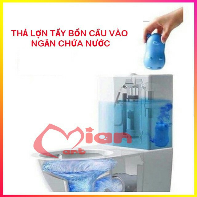 Lợn thả bồn cầu trị ố vàng, mùi hôi, diệt khuẩn hiệu quả