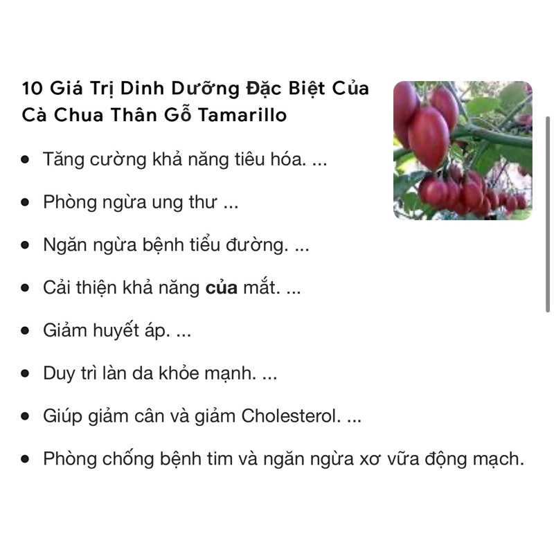 1 KG CÀ CHUA THÂN GỖ