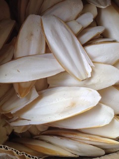 1kg Bột nang mực ( mai mực )