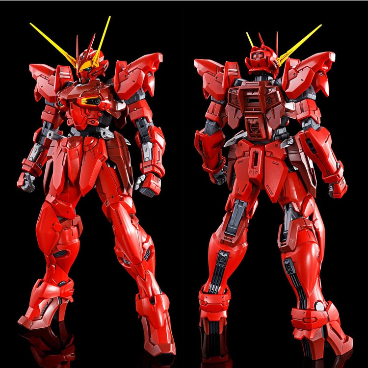 Mô hình lắp ráp P-BANDAI MG 1/100 TESTAMENT GUNDAM
