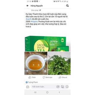 TRÀ THẢO MỘC SACHI HERBAL TEA (TRÀ SACHI)