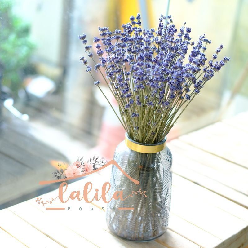 Hoa khô Oải hương_Lavender ❤️FREESHIP❤️ Decor phòng_Hoa khô trang trí Pháp