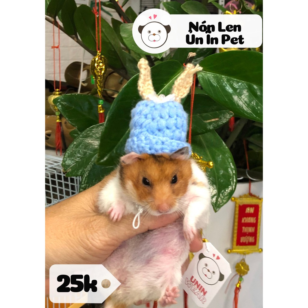 Nón len TAI THỎ NƠ cho hamster, sóc, bọ, thú nhỏ