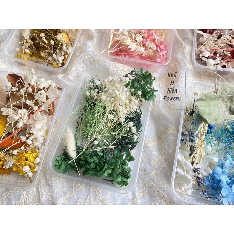 Set Hoa Khô Hỗn Hợp Làm DIY, HANDMADE - Hoa khô Vĩnh Cửu