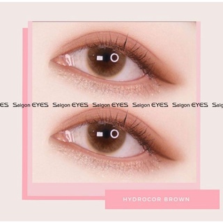 Tổng hợp màu lens nâu hot 2022