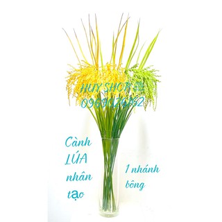 COMBO 10 Cành Hoa LÚA, Bông LÚA nhân tạo trang trí nhà cửa