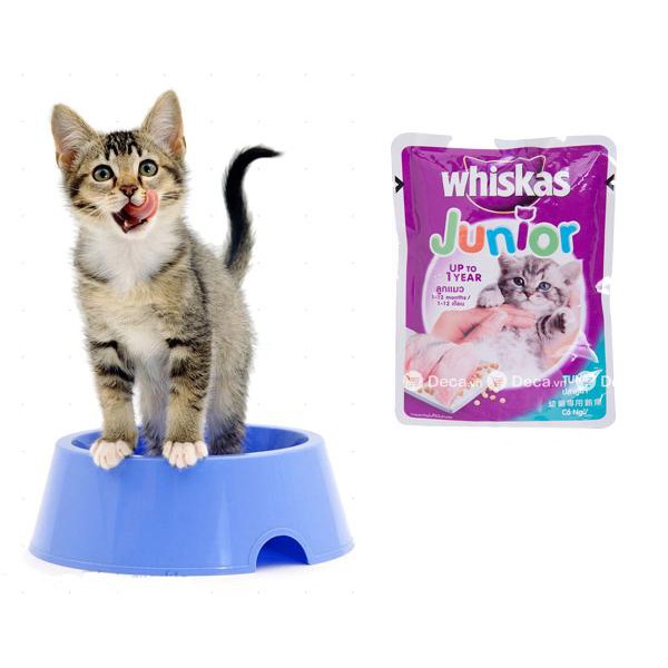 [Mã PET50K giảm Giảm 10% - Tối đa 50K đơn từ 250K] Pate Vị Cá Ngừ Cho Mèo Con Whiskas Junior Gói 80g