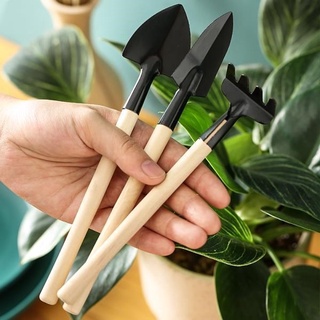 Bộ 3 Dụng Cụ Làm Vườn Chậu Cảnh,Sen Đá,Xương Rồng,Bon Sai - Đồ Chơi Phụ Kiện Mini Dễ Thương Decor