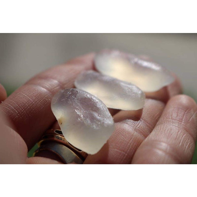 Thốt nốt thái (hạt đác) Ngọc Giàu sấy dẻo không đường 1kg