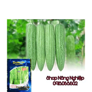 Hạt giống Khổ Qua Thái Lan F1 ADAM 123 20gr
