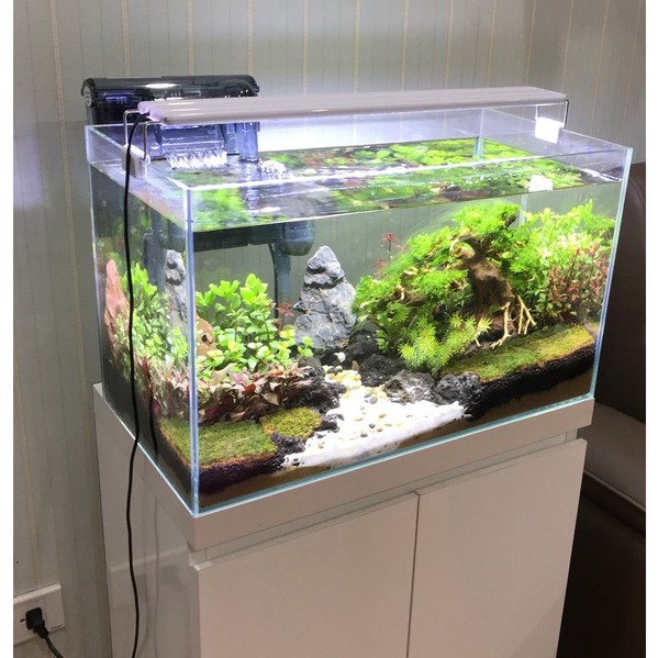 Đèn Aquarium Light 3 Chế Độ Màu 40cm Cho Bể Cá Cảnh, Bể Thủy Sinh 40cm