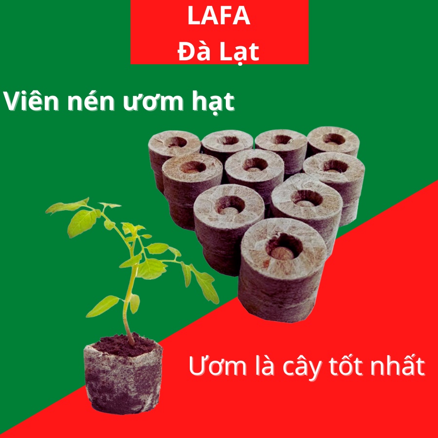 Viên nén sơ dừa thùng 1000 viên, thương hiệu LAFA, chuyên ươm hạt giống, cây giống