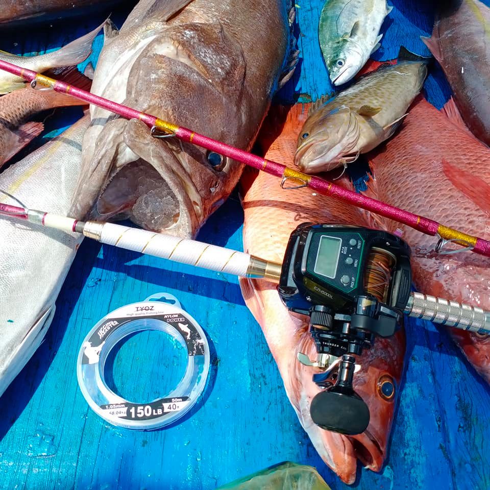 Dây câu cá Nylon Tyoz, dùng làm leader, thẻo câu ngâm cá biển lớn.