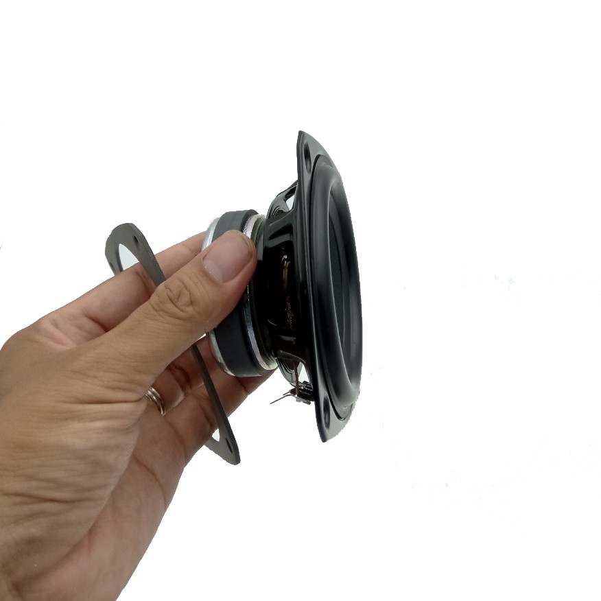 Củ loa rời toàn dải 10cm Fostex P1000K, giá bán theo cặp