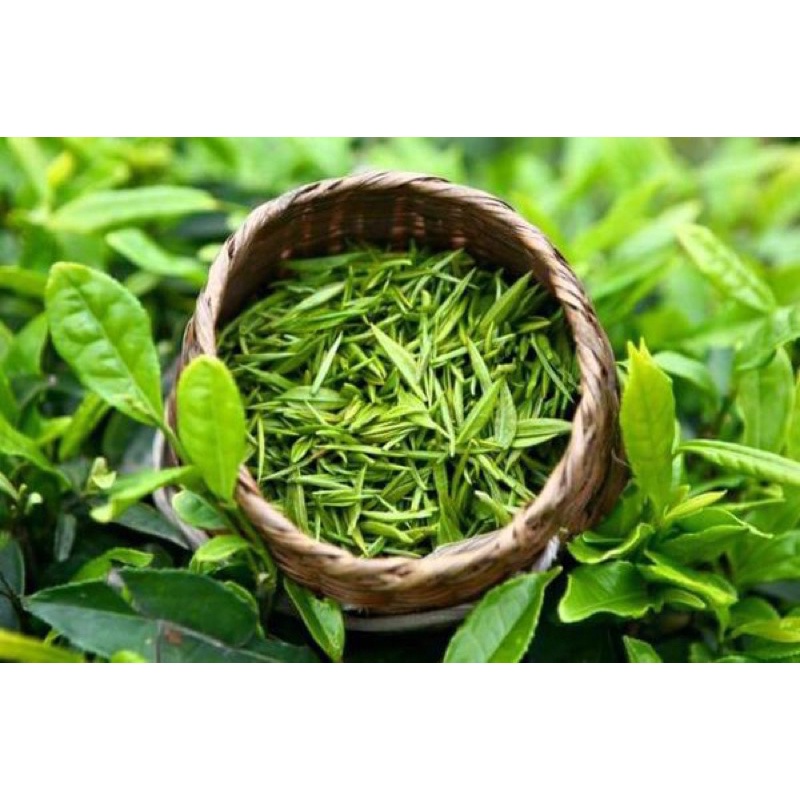 100G TRÀ ĐINH THƯỢNG HẠNG 🍃ĐẶC SẢN CHÈ TÂN CƯƠNG 🍃