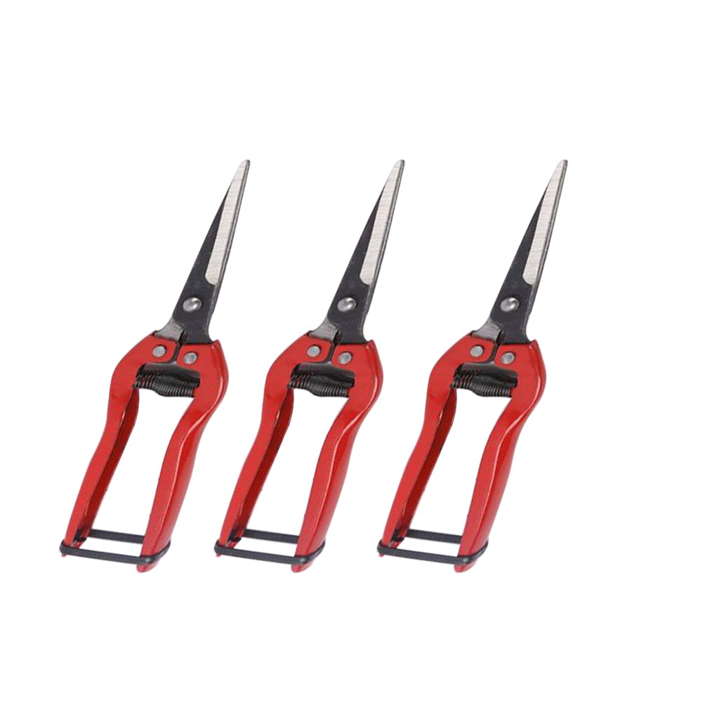 Bộ combo 5 Kéo cắt tỉa rau, hoa, quả, tỉa cành DAEGEE (Giá siêu rẽ) - Đỏ