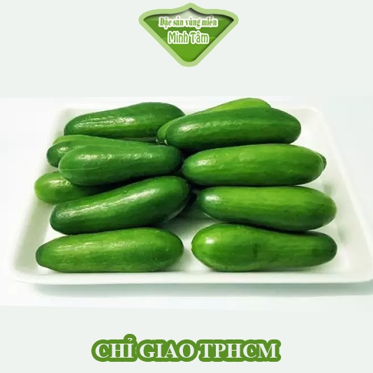 Dưa leo Baby Đà Lạt [CHỈ GIAO TPHCM]