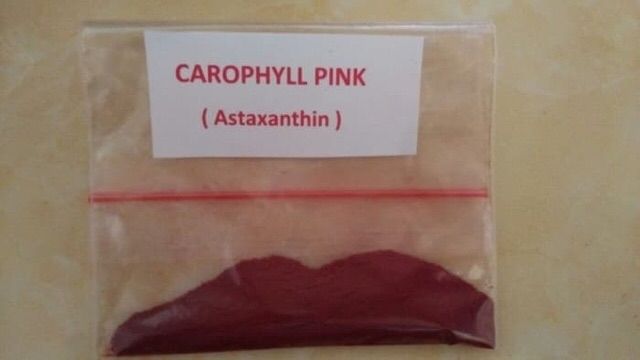 Carophyll kích màu đỏ cho các loại cá , có thể trộn đồ tươi cho cá cảnh (1 gram)