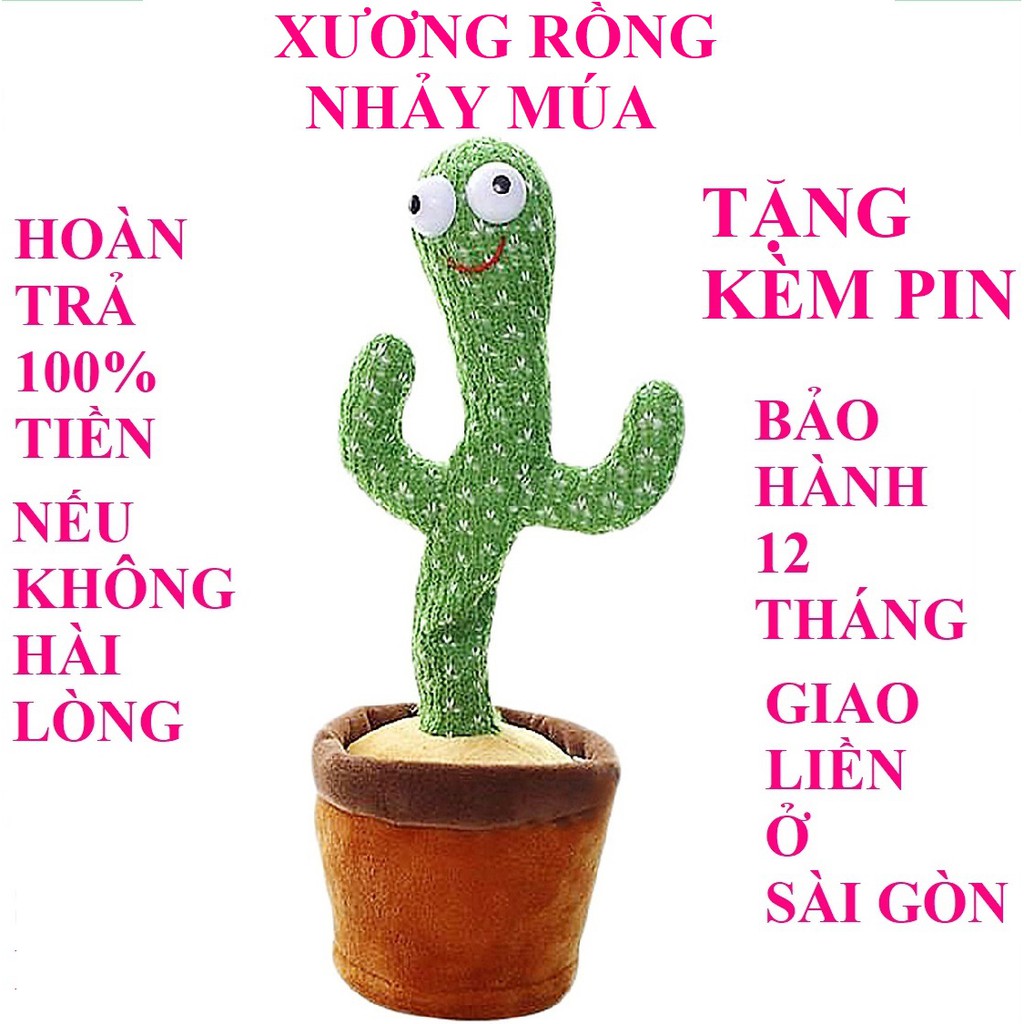 Cây xương rồng nhảy múa xương rồng nhảy múa xương rồng nhại tiếng 120 bài tiếng việt hàng chính hãng