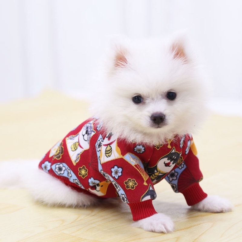 Áo nỉ lót bông Tết mèo thần tài - chó shiba cho cún miu 🧧