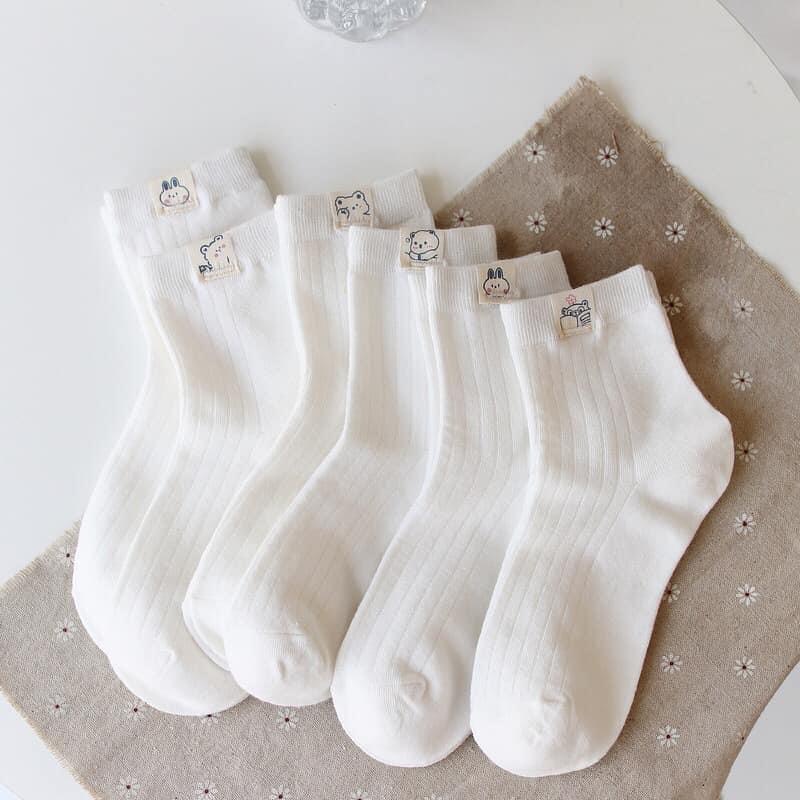 Vớ Tất Cổ Cao Tem Gấu Cotton Kháng Khuẩn Freesize Nam Nữ 35-42 MRSOCKS VC083