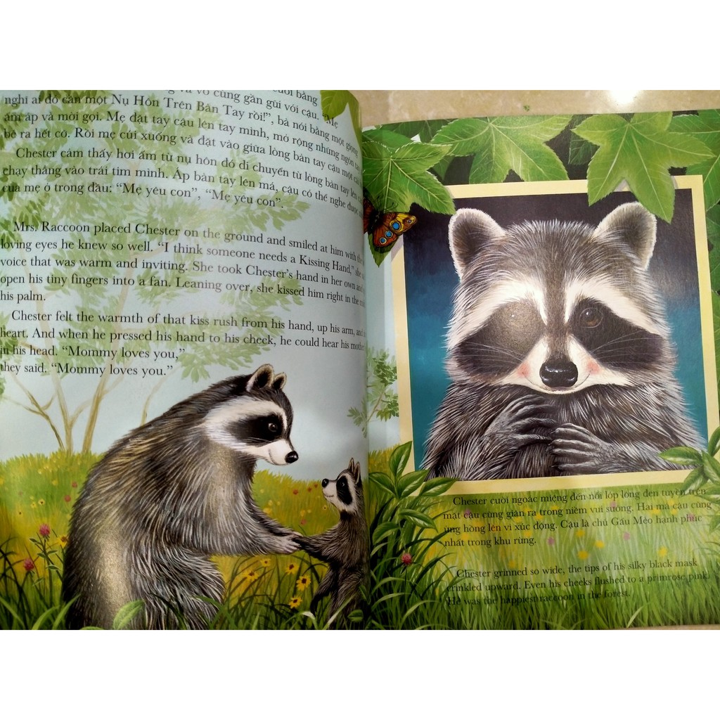 Sách -Chiếc túi đầy ắp những nụ hôn