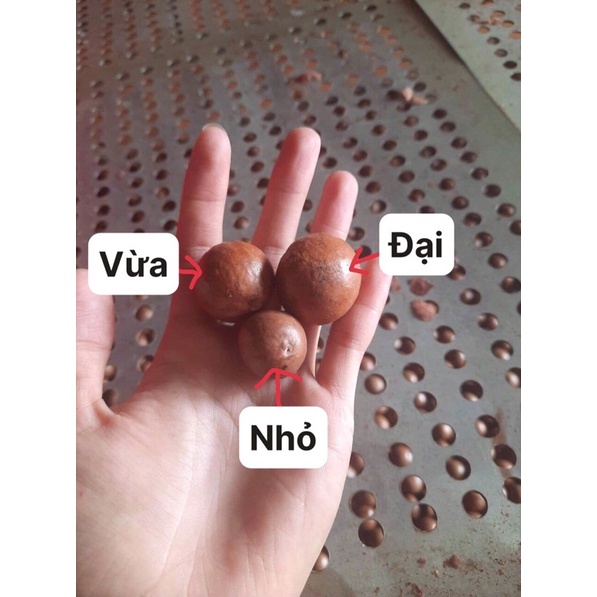 Hạt macca Daklak (Hạt nhỏ)